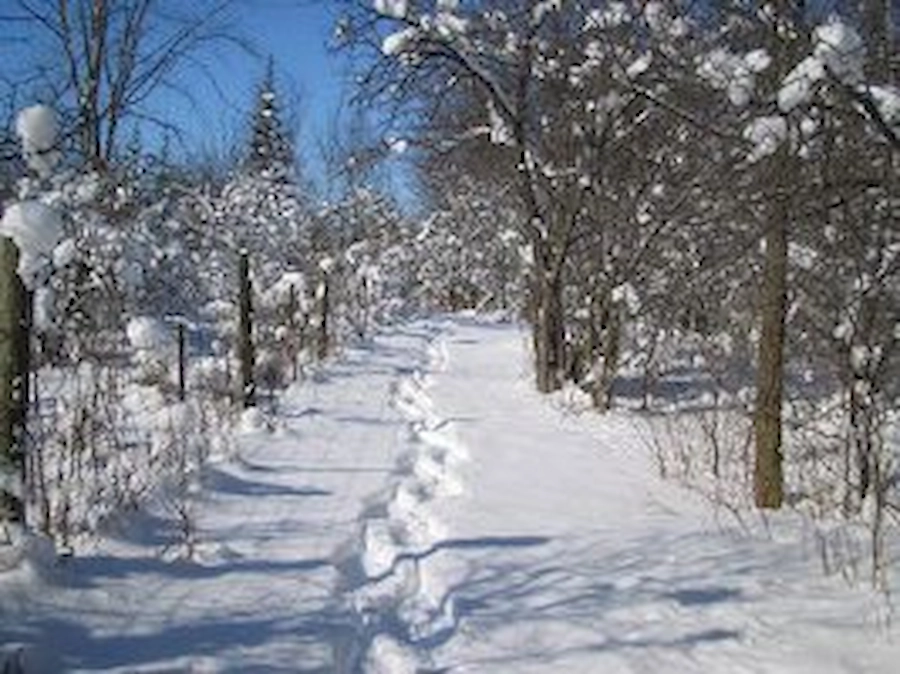 Trail in winter with footprints in the snow